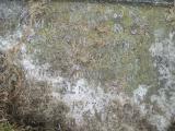 image of grave number 577569